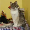 Отзыв от Лариса Воробьева